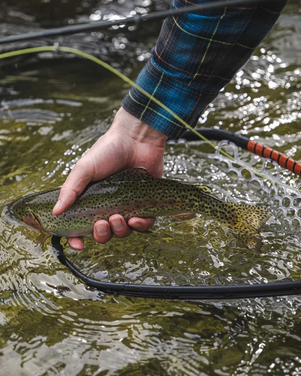 chinguillo simms DAYMAKER LANDING NET - SMALL BLACK - Imagen 4